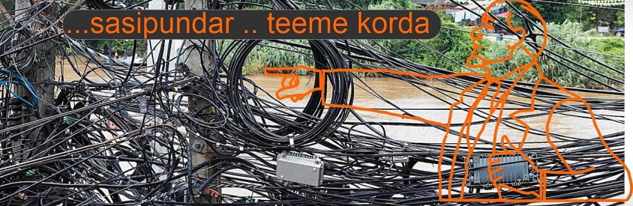 013 Leenin juhtmega